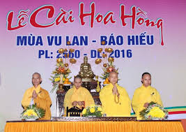 backdrop-le-vu-lan